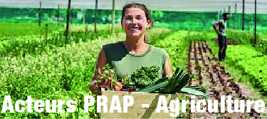 Formation - Acteur Prévention des Risques liés à l'Activité Physique - PRAP Agriculture